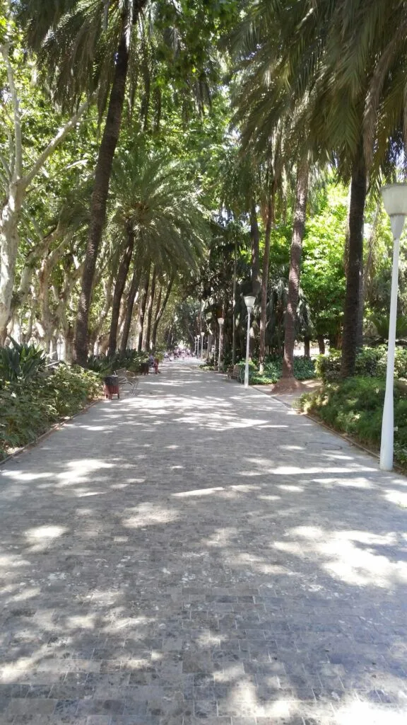 Allée bordée de palmiers et bancs dans un parc calme de Lisbonne